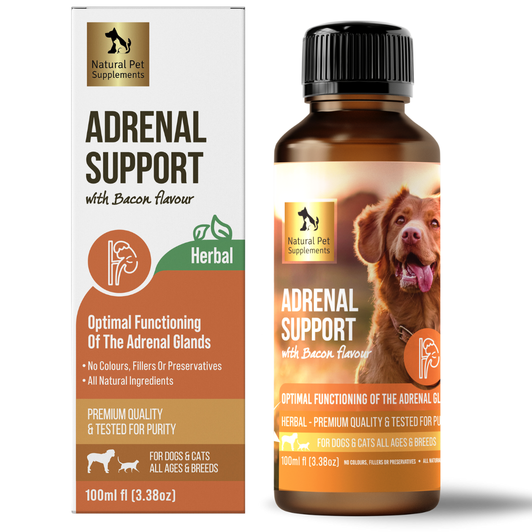Herbal supplements for dogs top